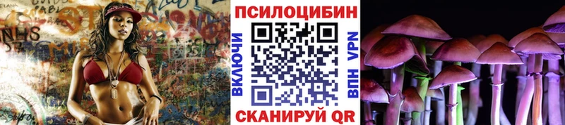 Галлюциногенные грибы Psilocybine cubensis  купить  цена  Полярный 